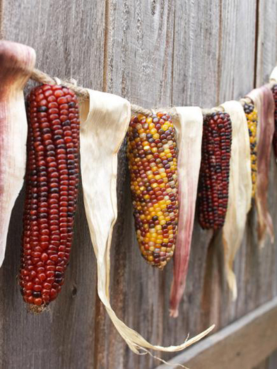 indian_corn_garland